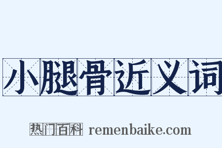 小腿骨近义词是什么意思的图片